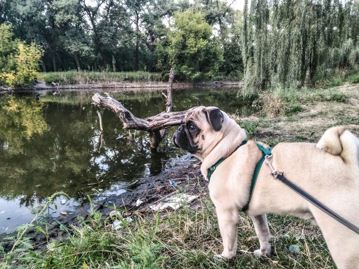 adventure