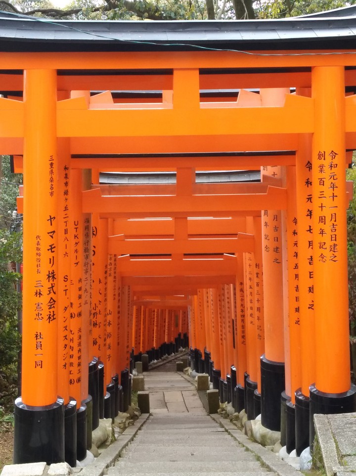 fushimi shrine tolii
