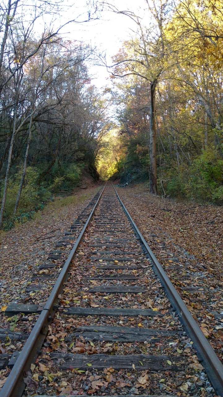 Train Tracks