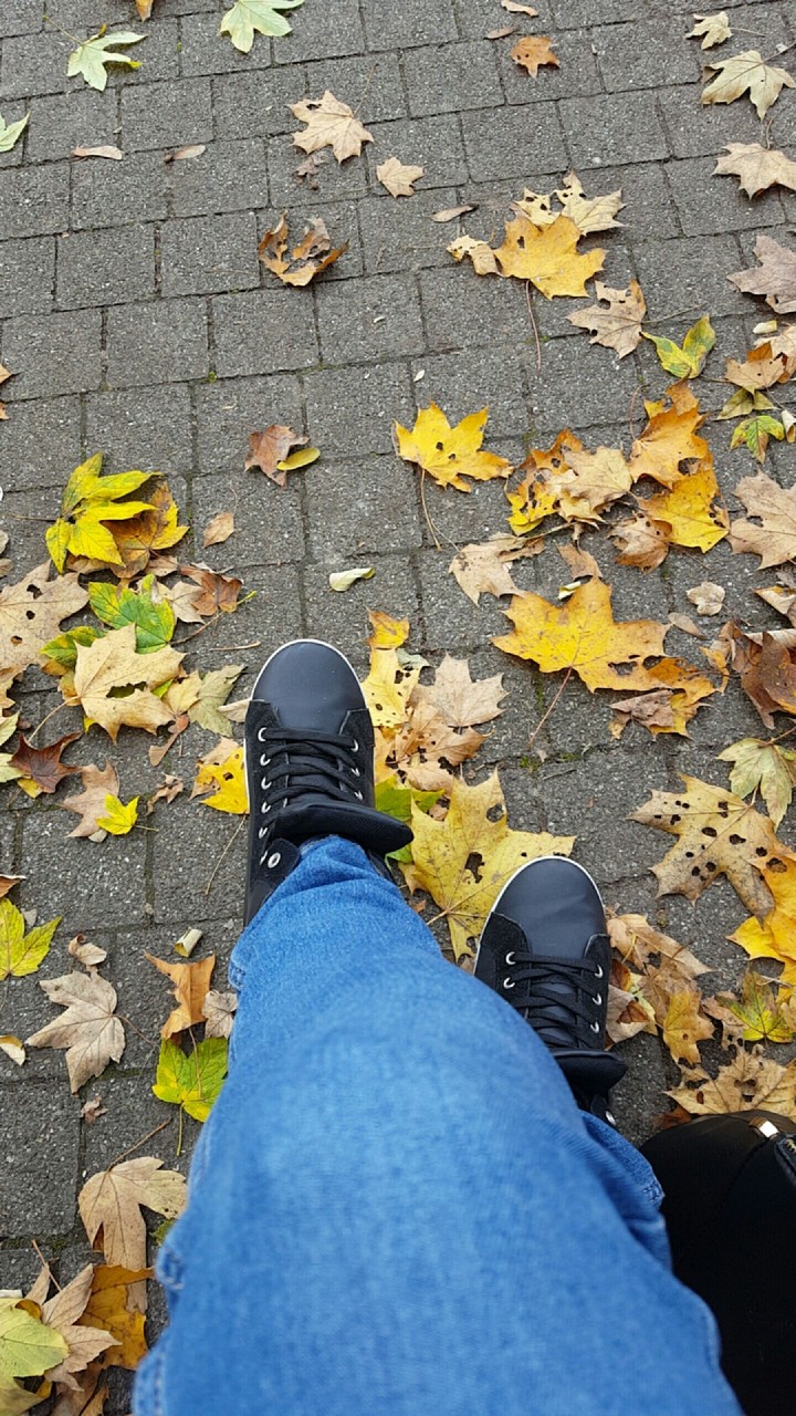 leaves and legs