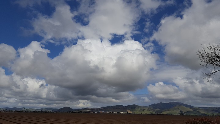 cotton ball cloud