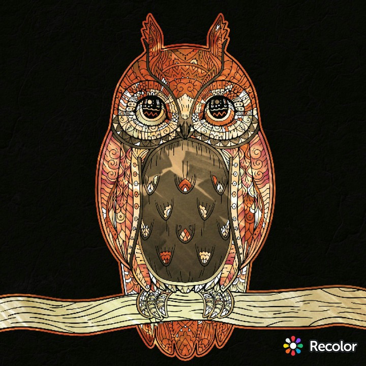 art color  owl