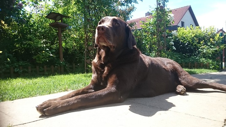 Sommerpause