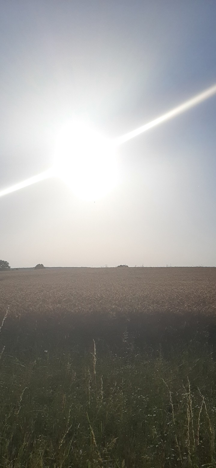 Sonne