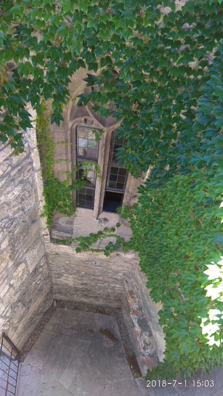window