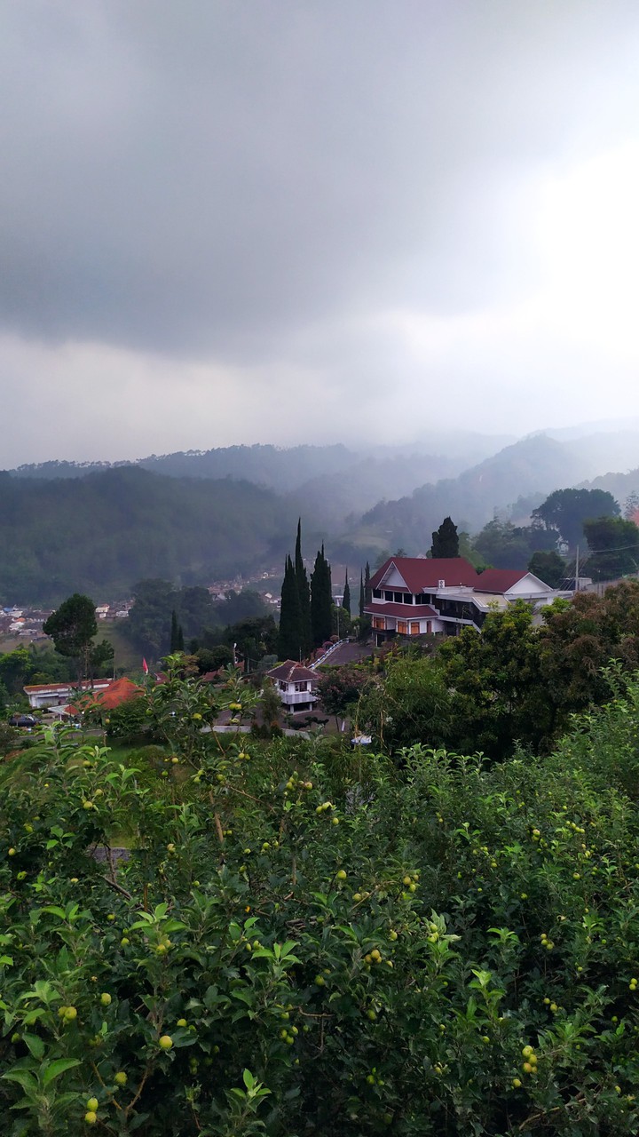 Foggy Homy