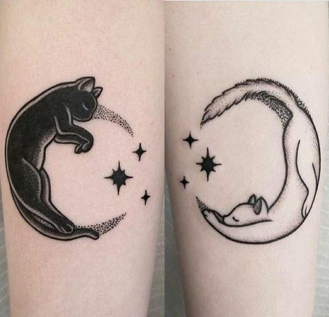 cat's