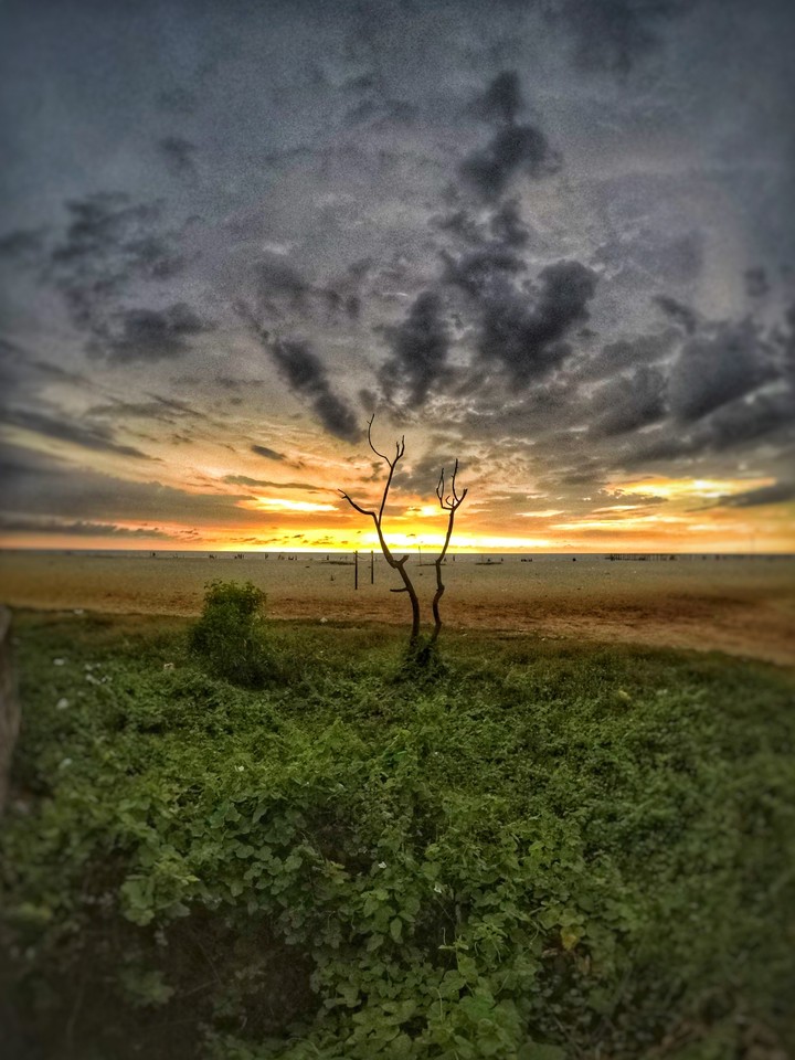 evening
