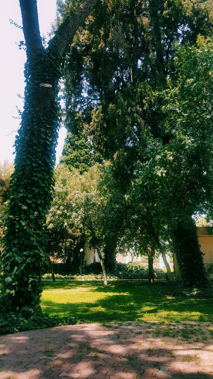 nature