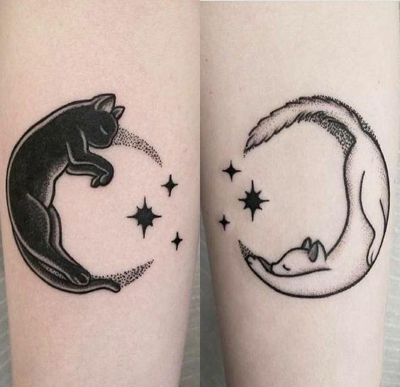 cat's