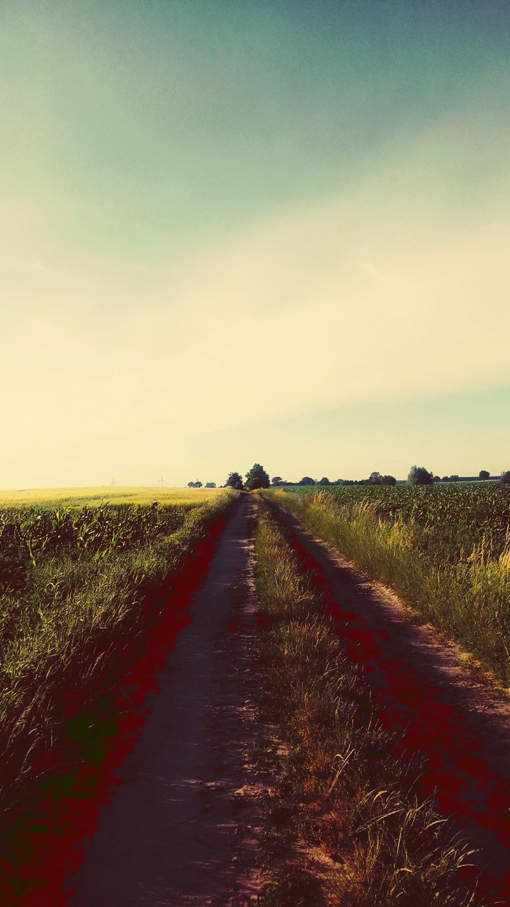 Lato.