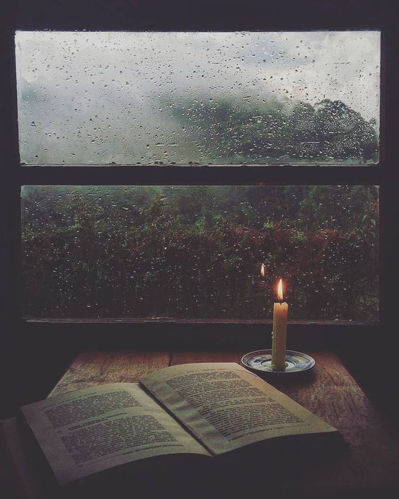 reading book in a rainy day