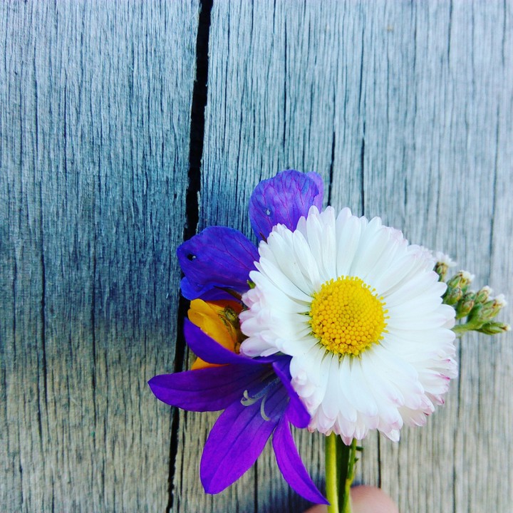 flowers