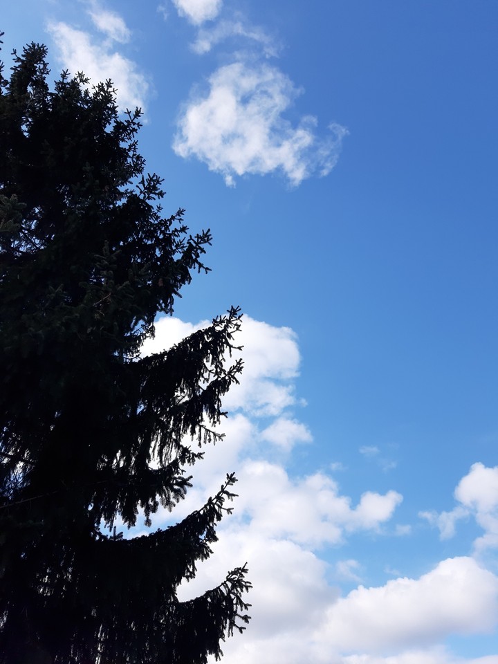 Beautiful sky