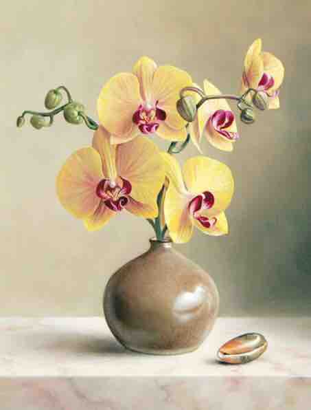 Orchid in a vase