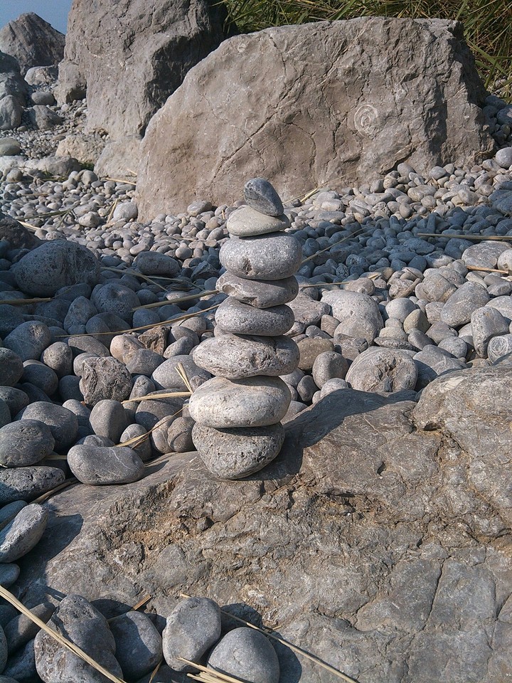 Rock's garden