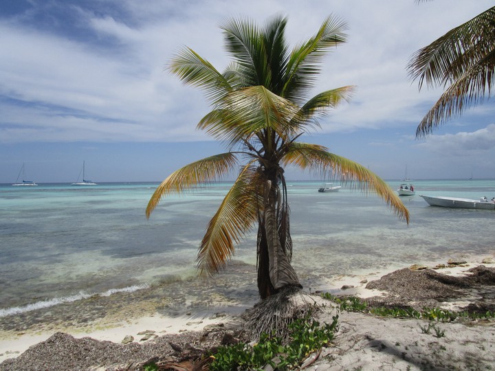 Isola di Saona