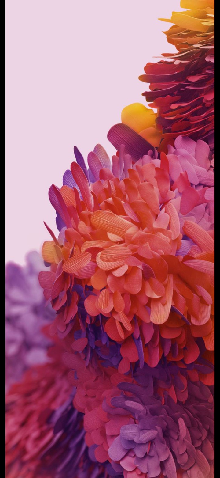 Wallpaper