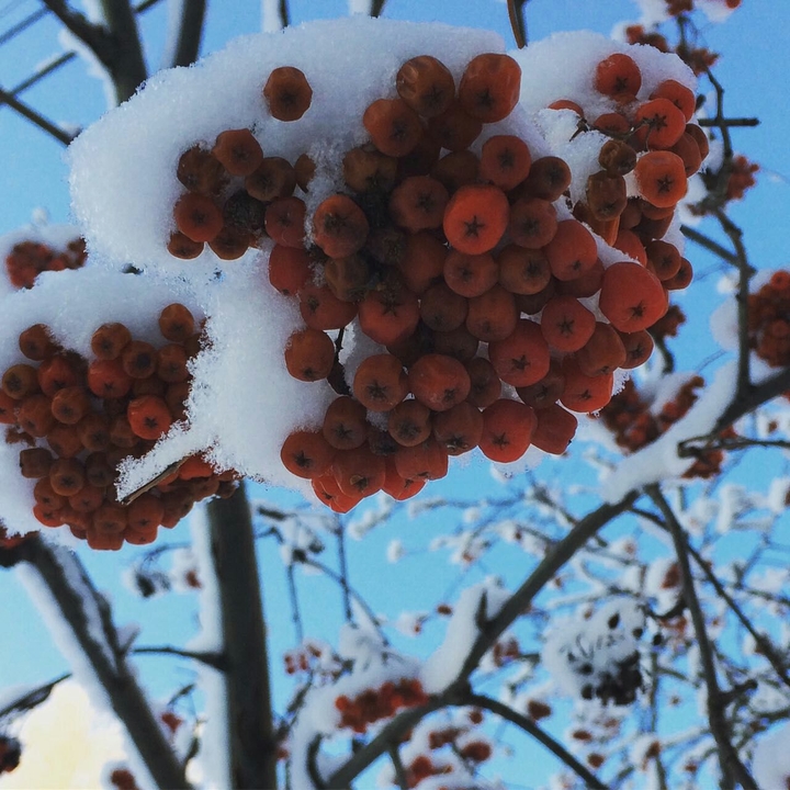 Winter