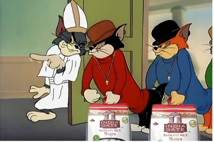 india gate basmati rice