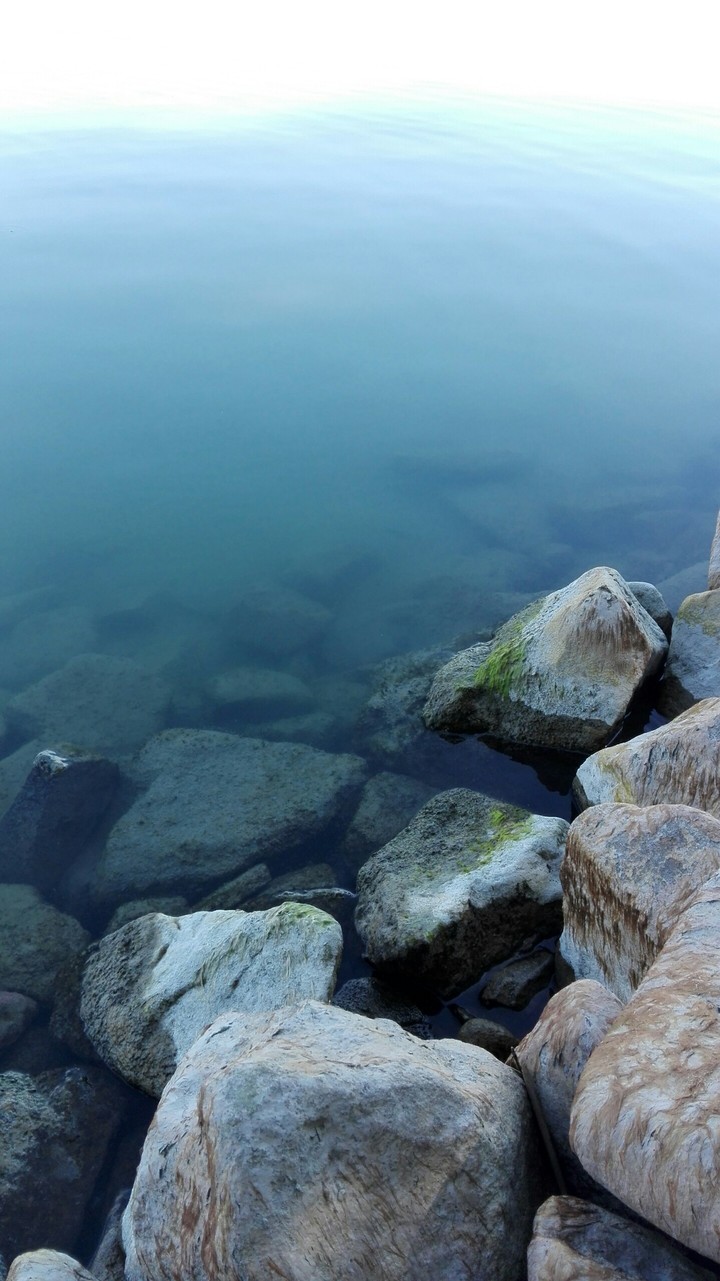 Balaton
