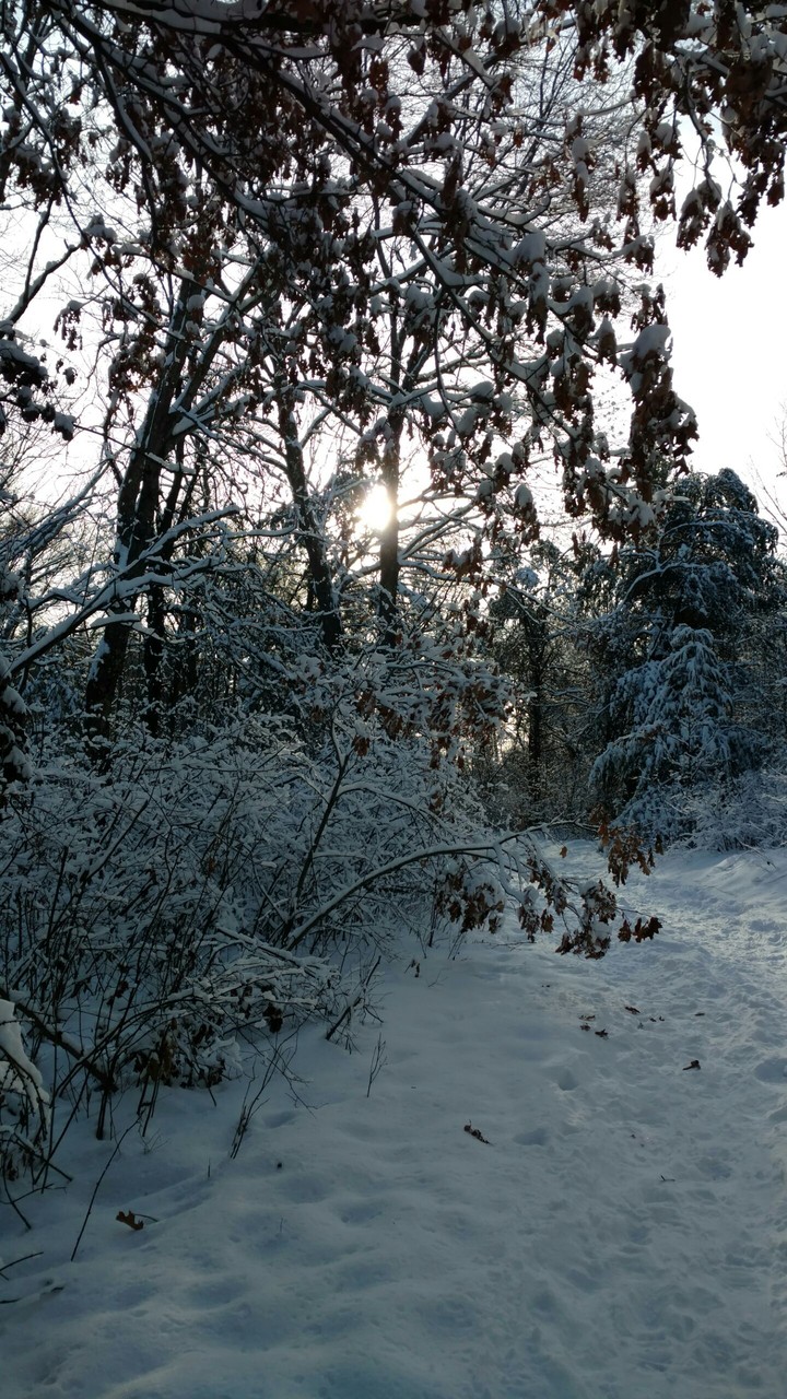 Lake Wazee Park