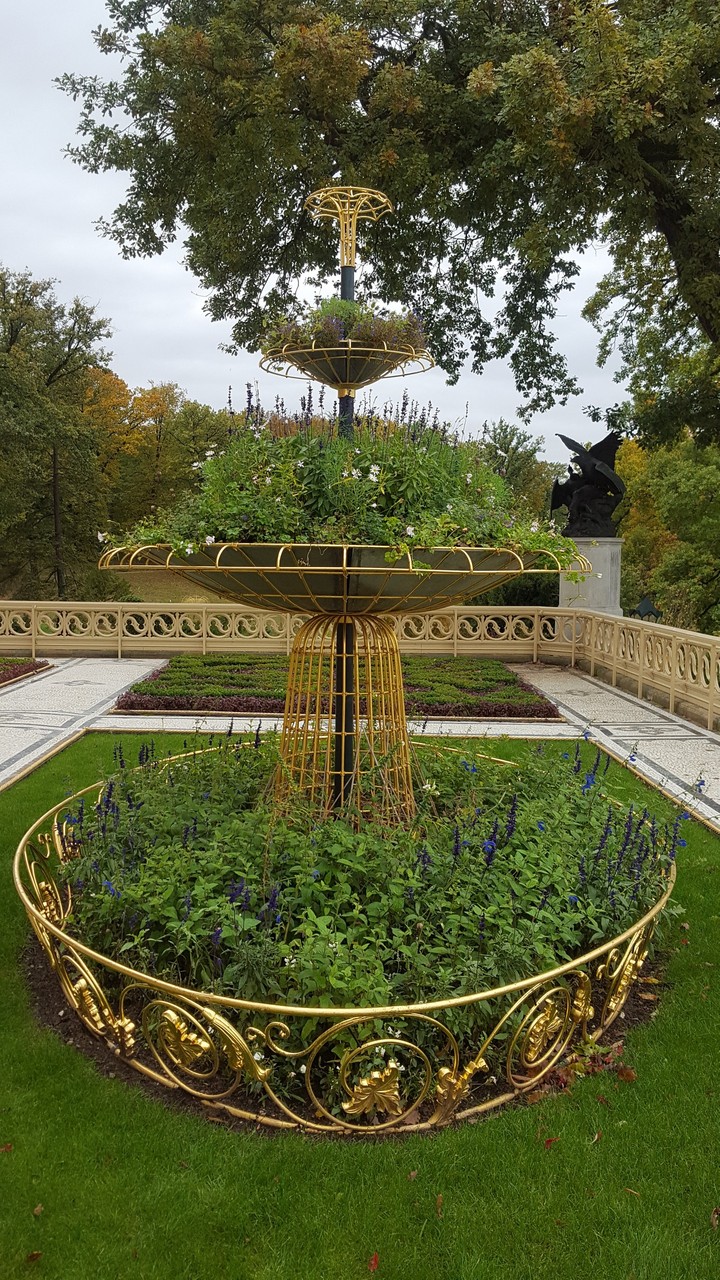 garden