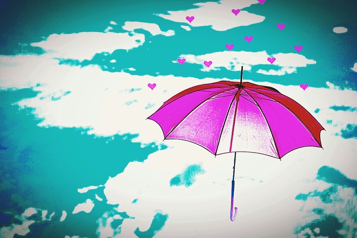 guarda chuva