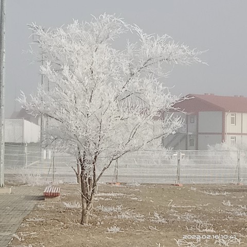 רקעים plant, Building