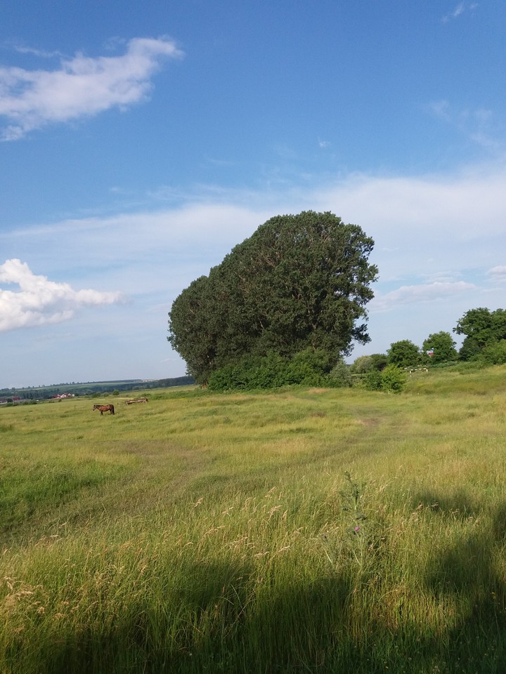 The beauty of the nature