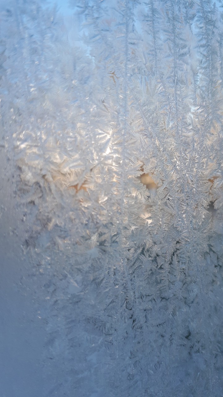 frost
