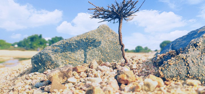 stone setting