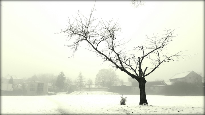 winter
