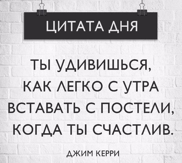 цитата