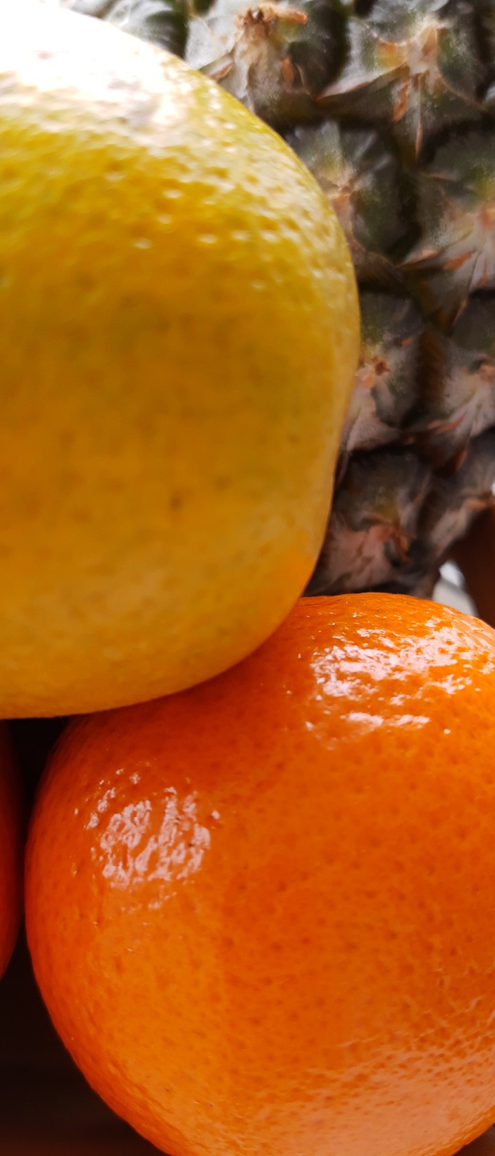 Fruit