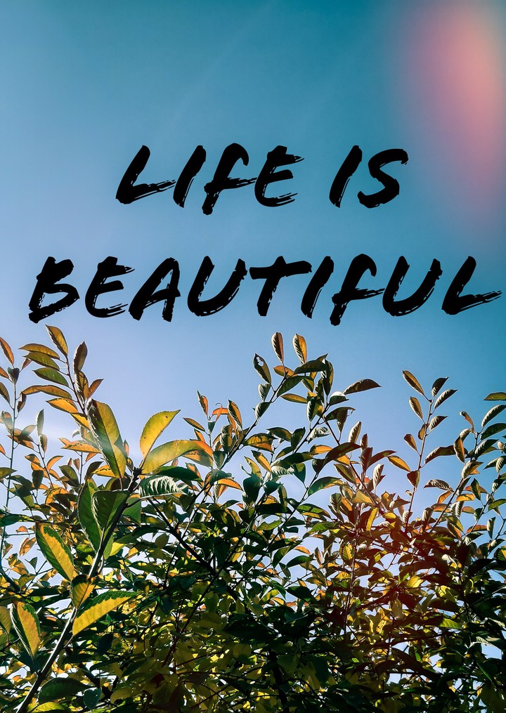 Life is Beautiful