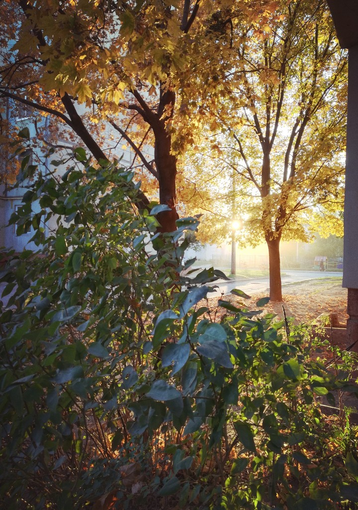 Sunshine