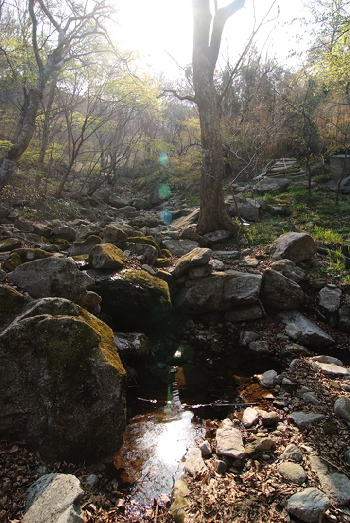 Nature