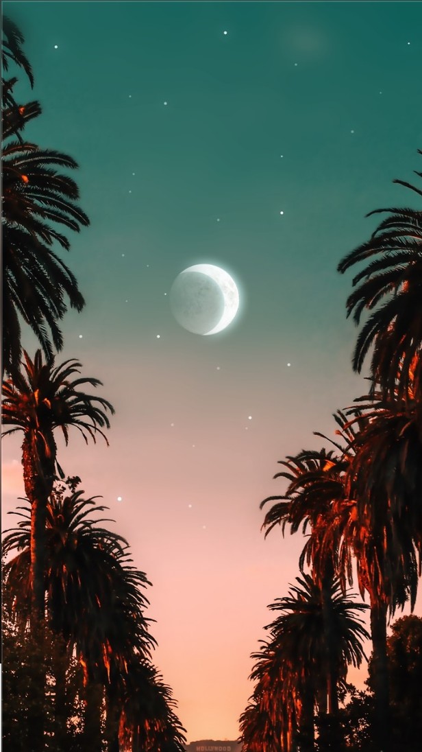 moon :~》
