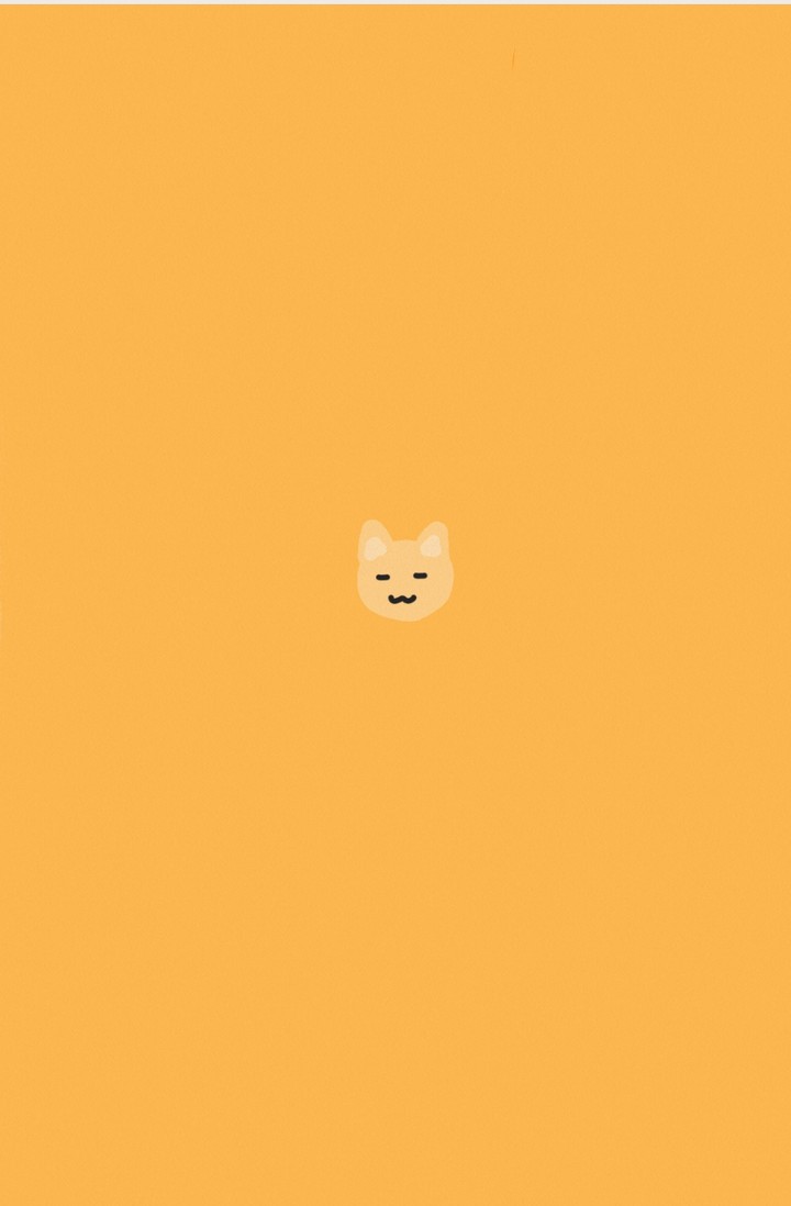 orange cat
