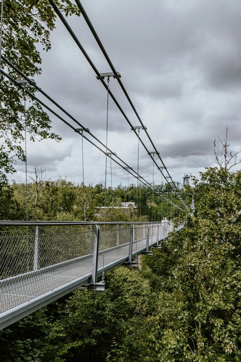 тапети Rope, jungle