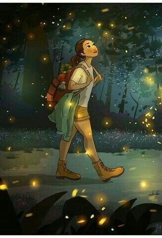 fire flies and freedom