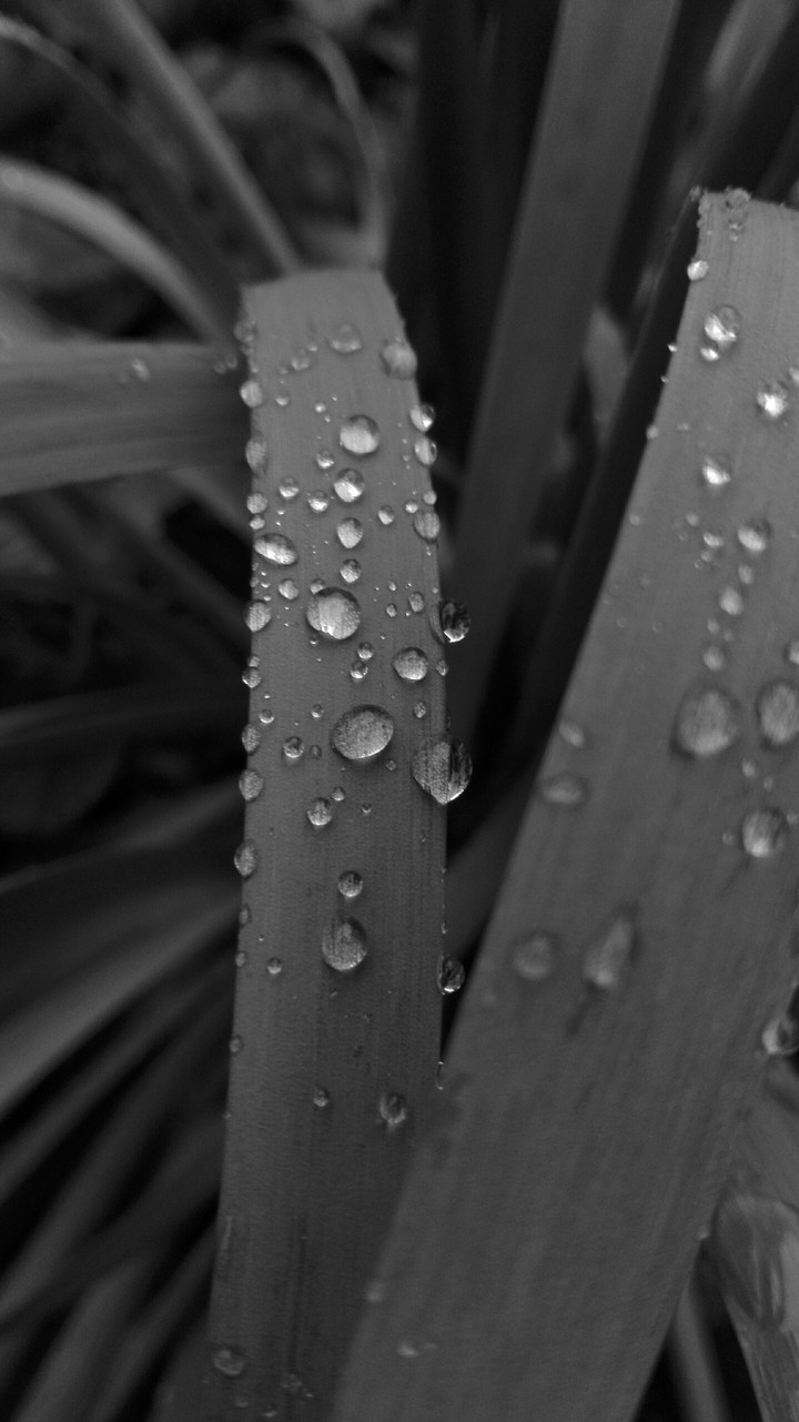 water 