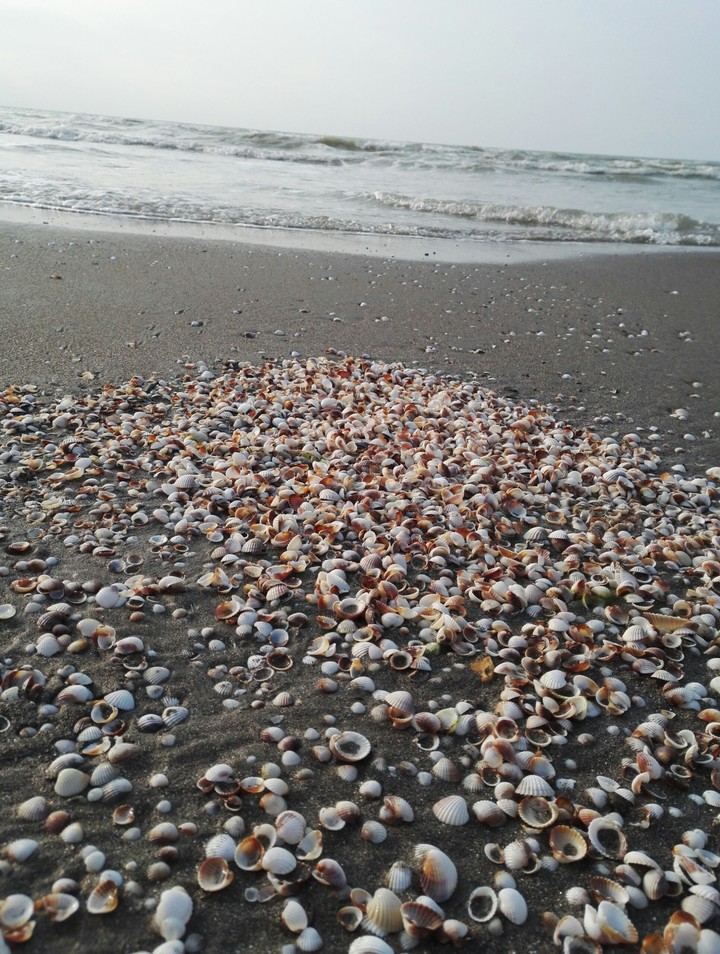 seaside