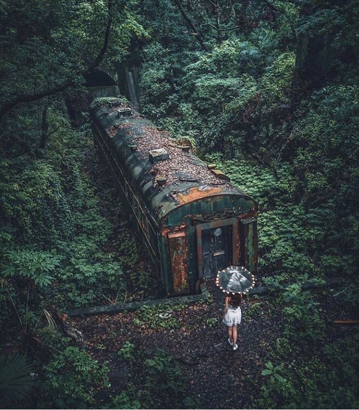greenery