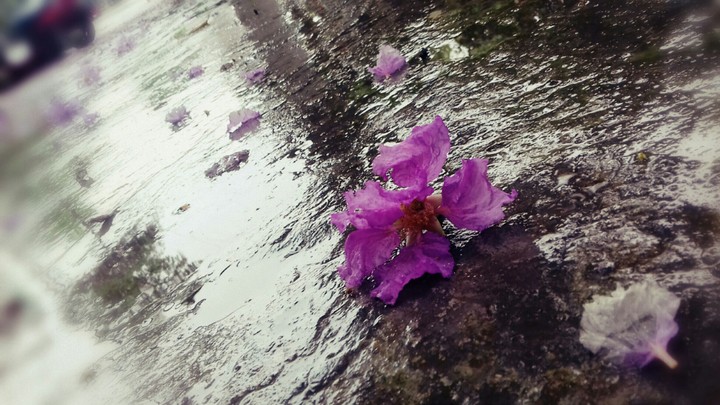rain