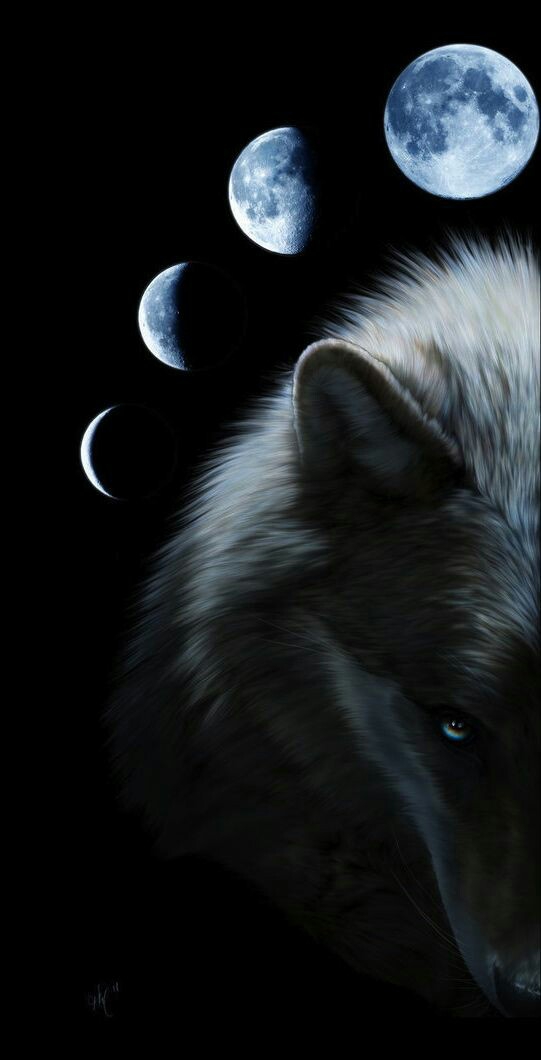 wolf moon