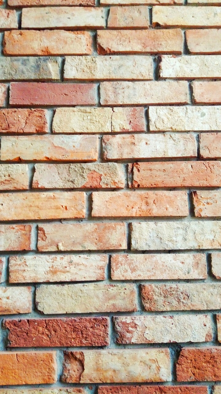 Wall