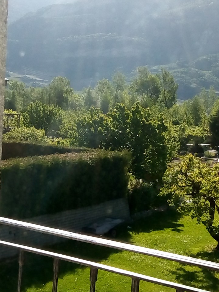 le soleil se reveil il fait jour il fait beau 