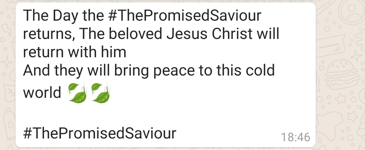 thePromisedSaviour